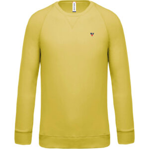 Felpa uomo BIO girocollo manica raglan